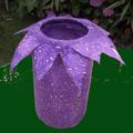 Purple King's pot