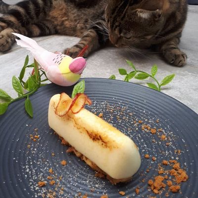 Crème catalane aux pommes