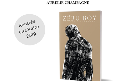 Zébu Boy, Champagne pour ce roman ample et fiévreux sur l'insurrection malgache !!