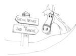 Association Cheval Nature du Sud Manche