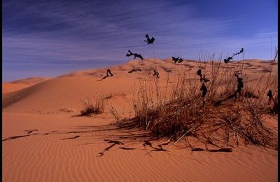 Les écrits du vent