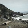 california coast : muir beach and SF