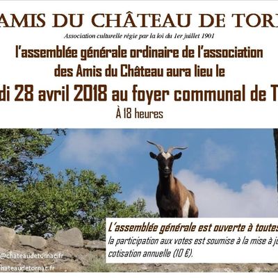 Assemblée générale des Amis du château vendredi 28 avril à 18 heures