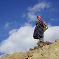 Tsering, bergère au Ladakh un très beau