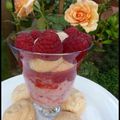 Meringues sur coulis de glace aux framboises