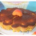 Gâteau moelleux abricots 