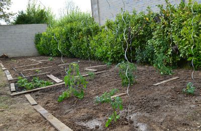 Potager à quatre mains (et plus ...)