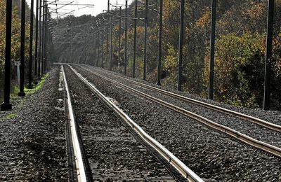 Les défenseurs des trains de nuit attendent beaucoup du plan de relance (Le Telegramme)