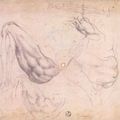 "Michelangelo, Vasari and Their Contemporaries" à la Morgan Library & Museum, NY