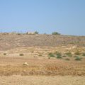 Le Mausolée de Sidi Karmodi 