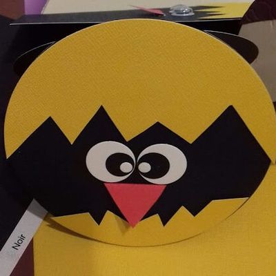 Sortir de sa Coquille