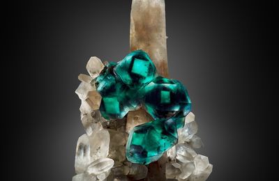 Philanthropist Lyda Hill unveils her most recent treasure, the rare Eyes of Africa mineral