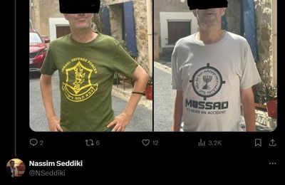 Nassim Seddiki, fan de Tsahal et du Mossad, et référent Île-de-France du Printemps Républicain