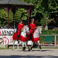 Les victoires des Arts équestres ( Haras de la Vendée)