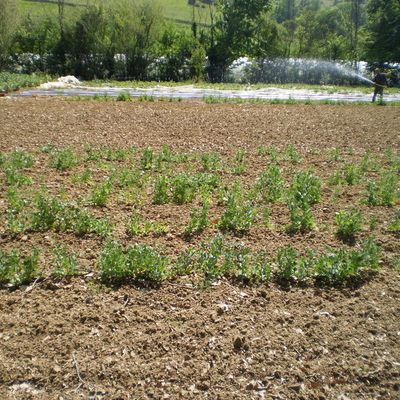 3ème et 4ème jour (2)