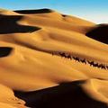 Ordos : une terre sacrée et au charme mystérieux dans le désert