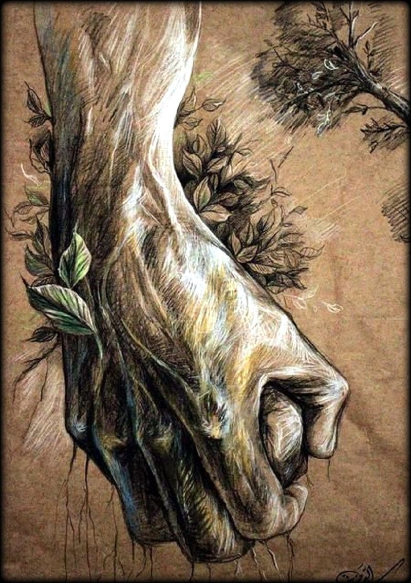MOKHTAR EL AMRAOUI, PALESTINE, GENOCIDE, MASSACRES, OCCIDENT, INDIFFERENCE