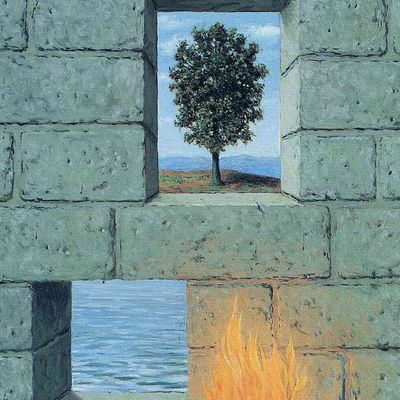 Le Con (pas) fort de l'esprit / Raymonde