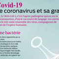 Coronavirus