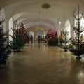 L'université décorée pour Noël !!