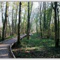 RE les marais de Lavours