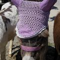 A CHENERAILLES, LA FOIRE AUX CHEVAUX, C'EST VRAIMENT LA FOIRE !