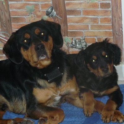 qu'est ce qui a?!! bah oui on se ressemble!