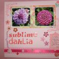 sublime dahlia