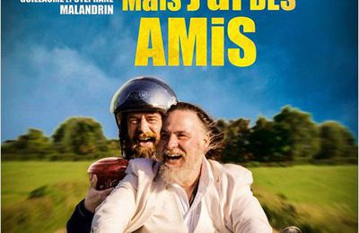 [ critique ] JE SUIS MORT MAIS J'AI DES AMIS ( 7 / 10 ) Par Mélissa M.