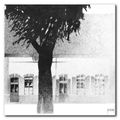 D’une maison à l’autre