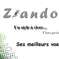 Les voeux 2012, by Z a n d o