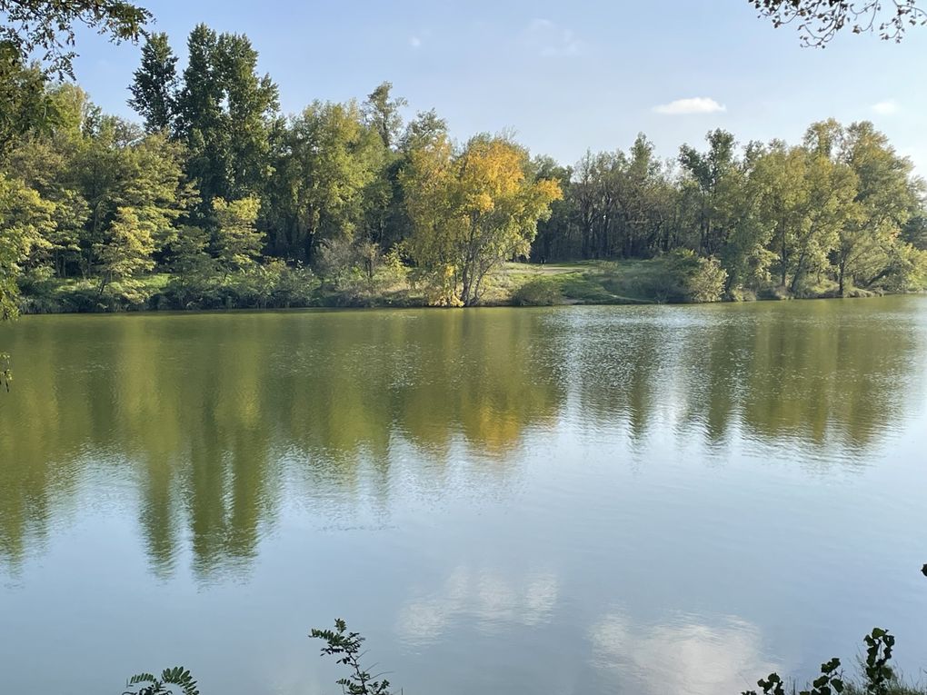 Mardi 14 octobre 2025 : j'ai fait découvrir cet Etang des Martailles (Martres d'Artière, 63430 Martres d'Artière) à Marike , nous en avons fait le tour , moi j'y viens souvent  mon diapo s'en suit , mes photos datent du 11 oct 2025