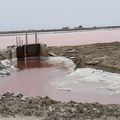 Visite des salins de Salin-de-Giraud en vélo 