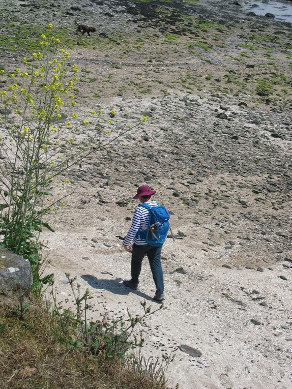 LE SENTIER DES DOUANIERS