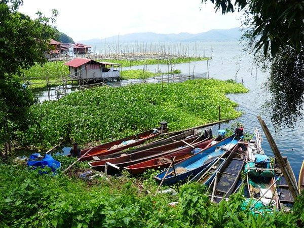 Voyage en Sulawesi - petite présentation de ce bel archipel