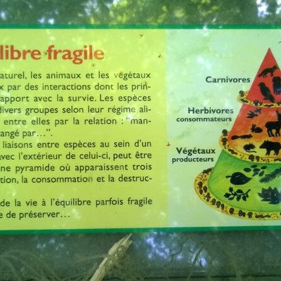 Une escale sur le site de Volvic 