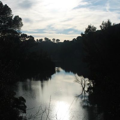 Hiver les pieds dans l'eau