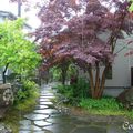 jardin a Yamagata