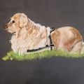 Un amour de chien sur pastelmat 50x70 cm