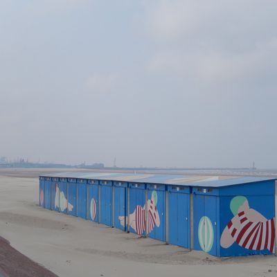 Les moules à la Dunkerquoise