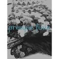 Blanket Obsession 4 - presque finie...