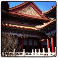 Visite du Summer Palace, Beijing