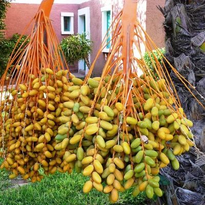 UNE JOURNEE TRANQUILLE A L'HOTEL