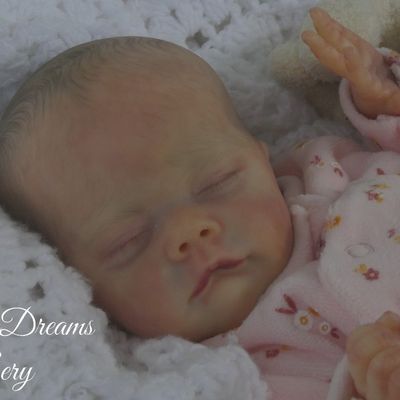 Lil'Prem, disponible à l'adoption 