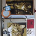 scrap box dame de kit de mars