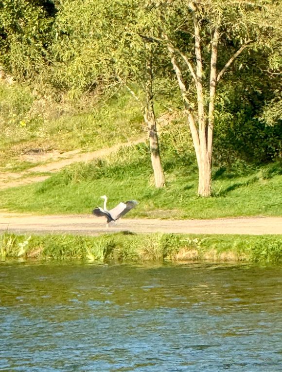 Mardi 14 octobre 2025 : j'ai fait découvrir cet Etang des Martailles (Martres d'Artière, 63430 Martres d'Artière) à Marike , nous en avons fait le tour , moi j'y viens souvent  mon diapo s'en suit , mes photos datent du 11 oct 2025