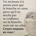 Un moineau...