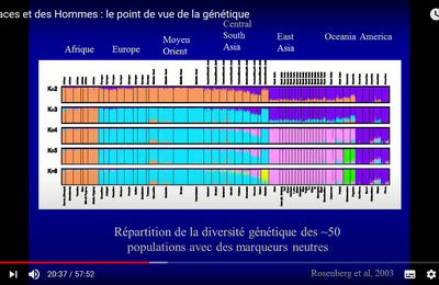 POLITIQUEMENT CORRECT ET RACES HUMAINES DEUXIEME PARTIE