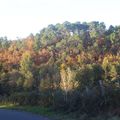 promenade un jour d'automne.........