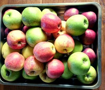 Petits bonheurs des prés #1